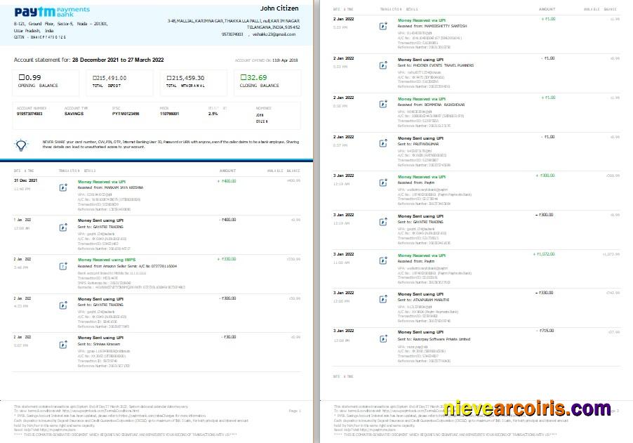 India Paytm Payments bank statement, Word and PDF format, 2 pages